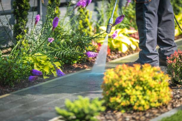 Best Animal Enclosure Cleaning  in Oak Point, TX