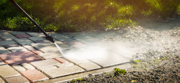 Best Solar Panel Cleaning  in Oak Point, TX